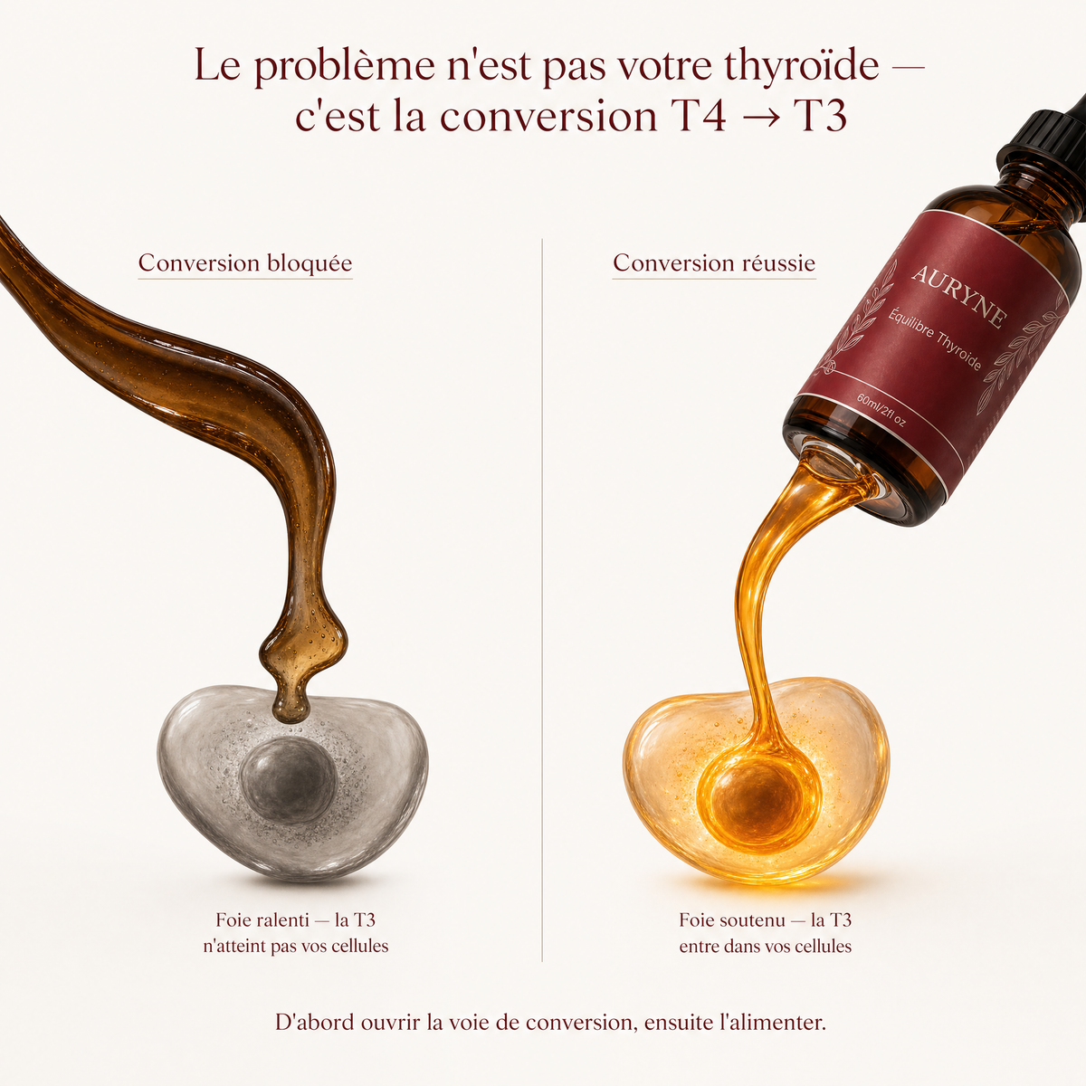 Auryne Équilibre Thyroïde Refont