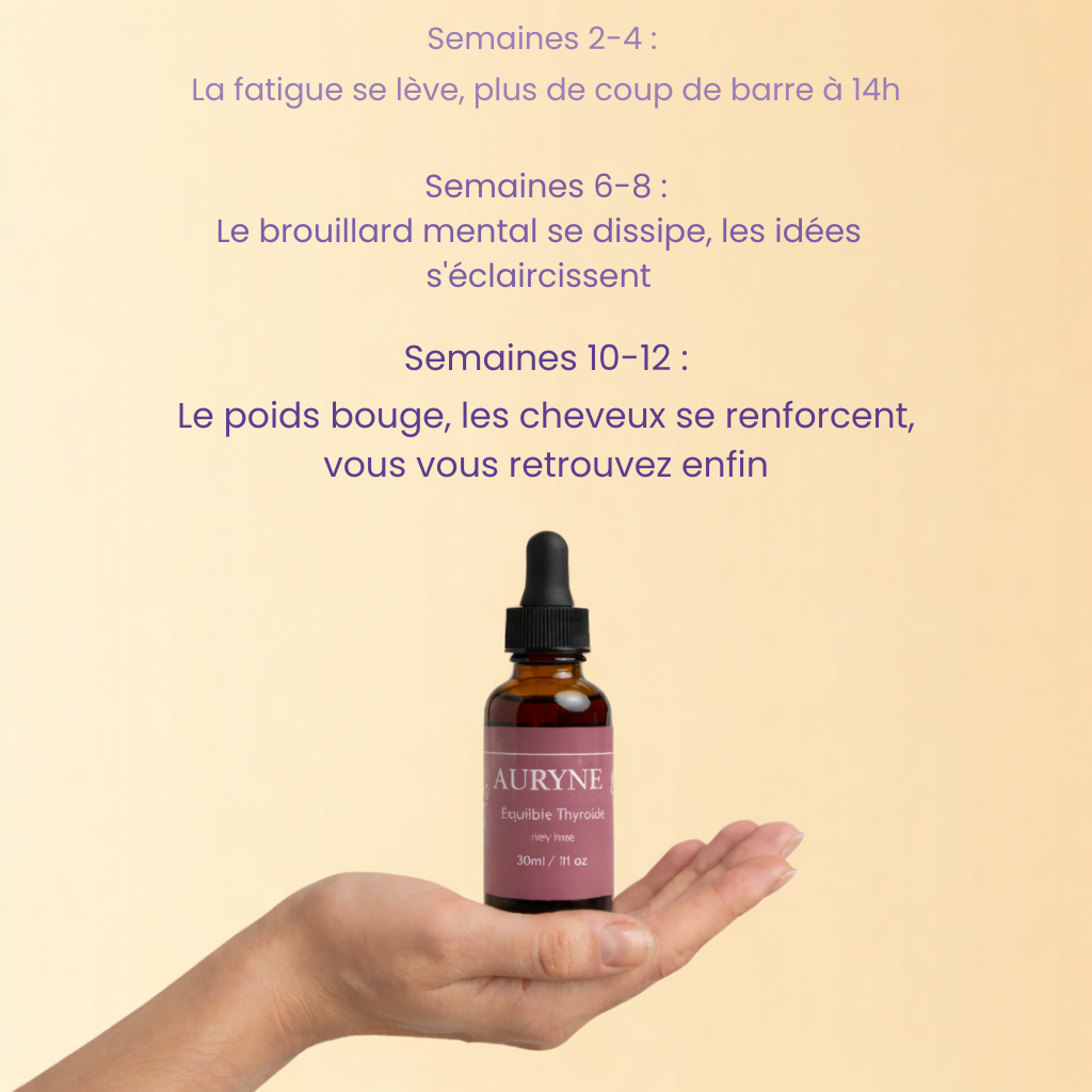Auryne Équilibre Thyroïde